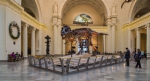 "Sue" the dinosaur at main hall of The Field Museum of Natural History in Chicago.