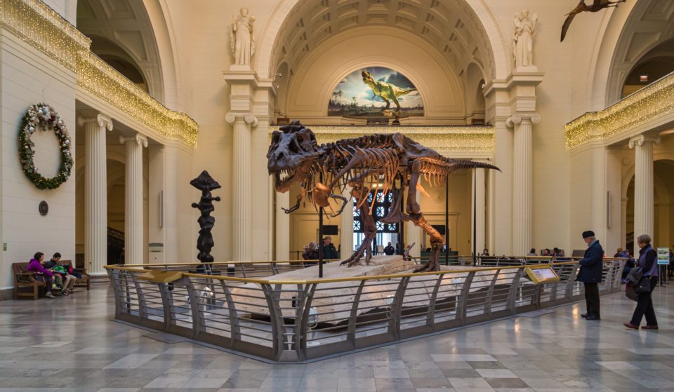 A Complete Guide To Free Admission Days At Chicago’s Many Museums