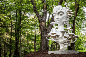 Photo of the Daniel Popper sculpture "Mycelia" on show at the Morton Arboretum in Chicago