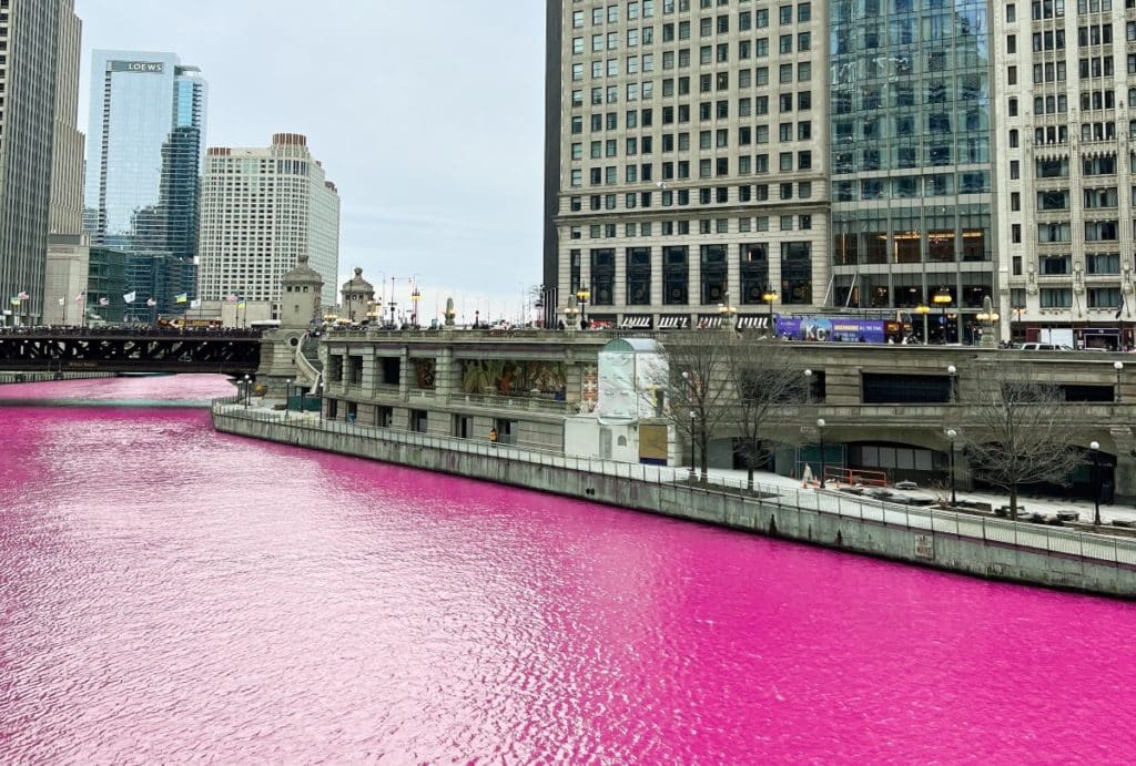 The Chicago river pictured a bright pink