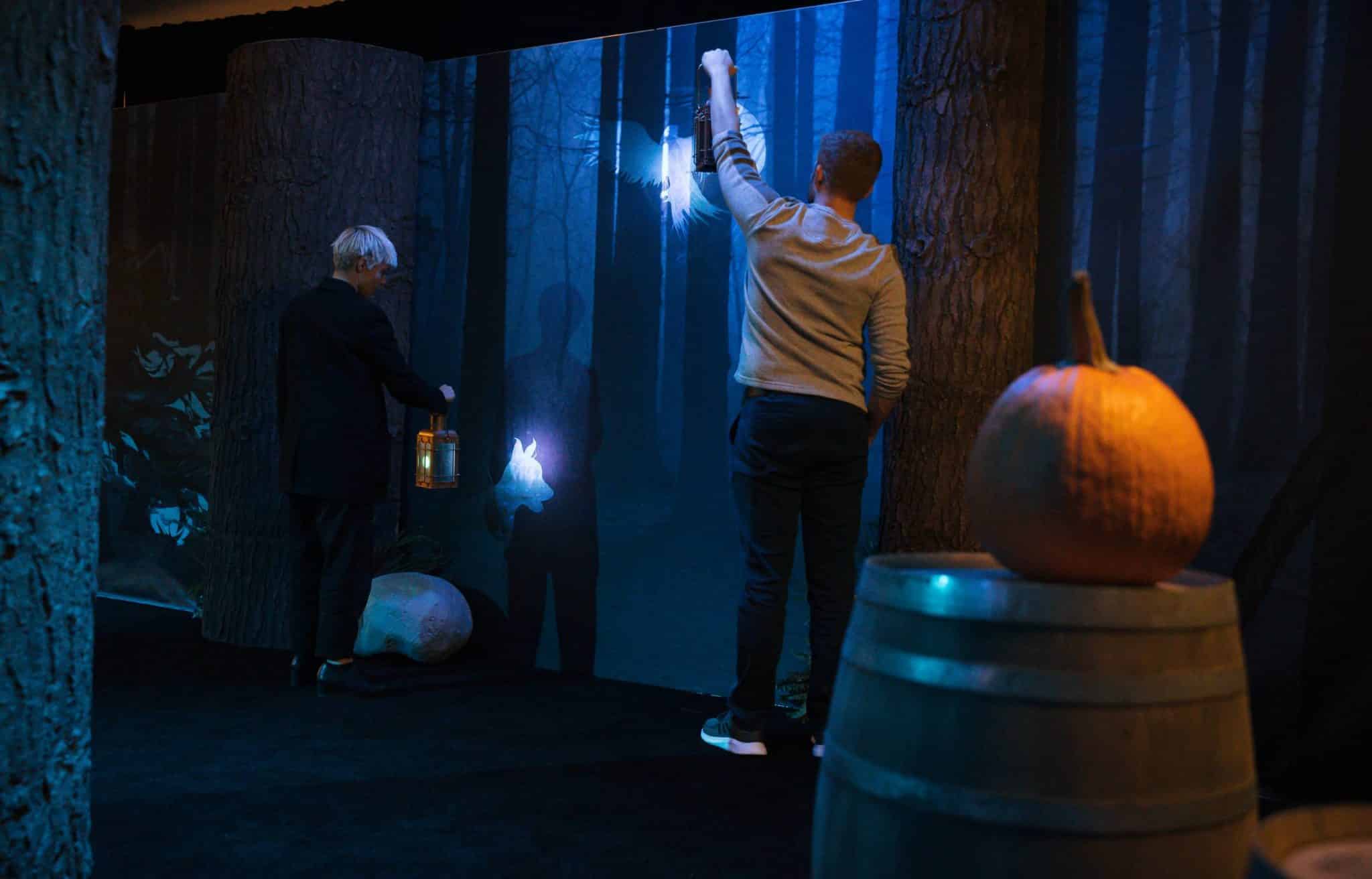 forbidden forest at harry potter magic at play