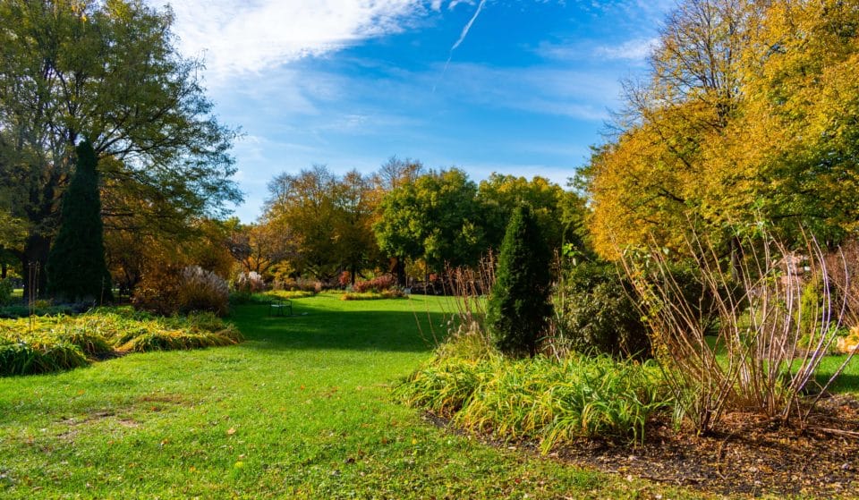 10 Idyllic Parks In Chicago For Having The Perfect Afternoon