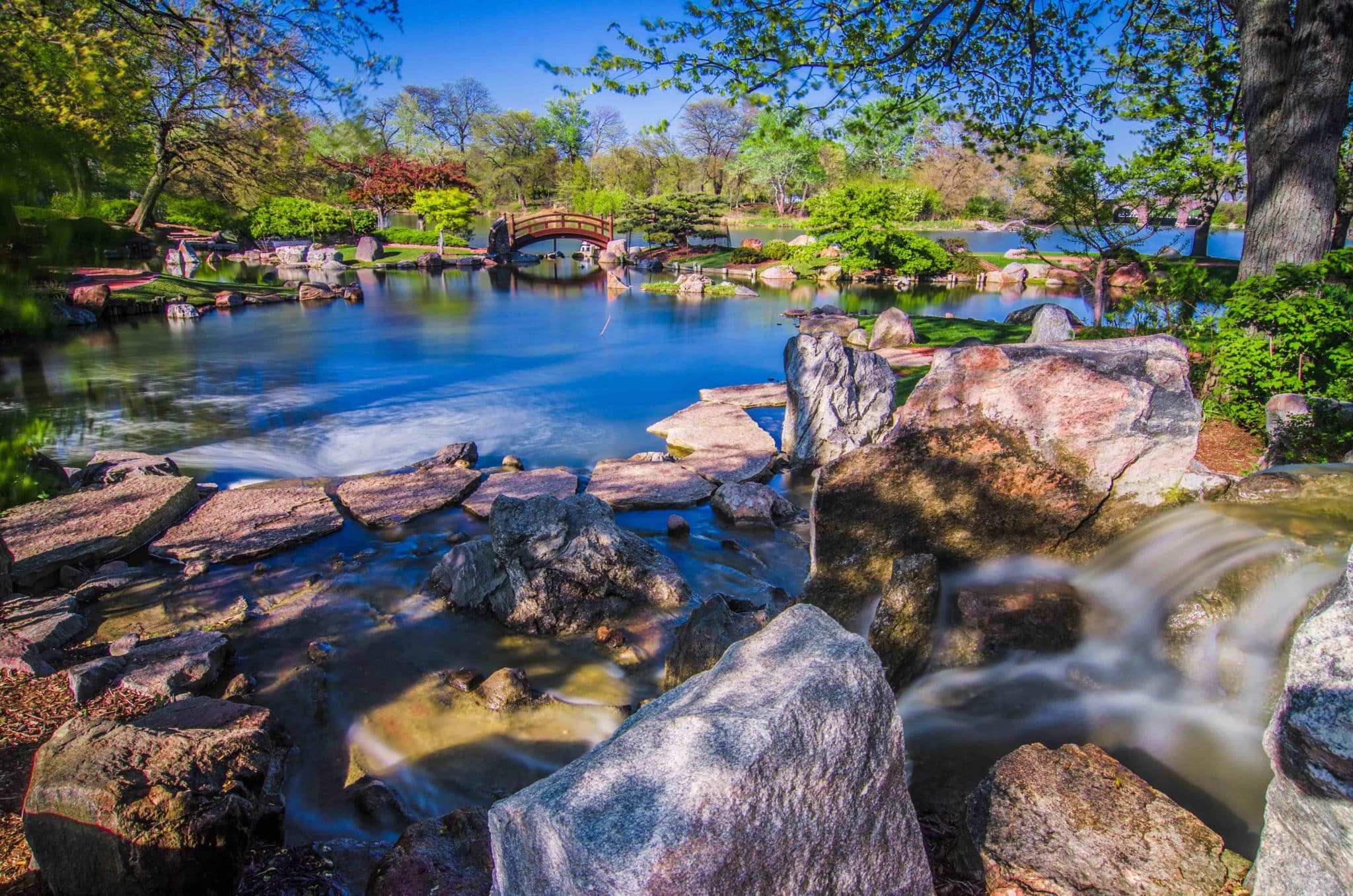 large pond surrounded by rocks and plants at Osaka Japanese Garden Jackson Park Chicago