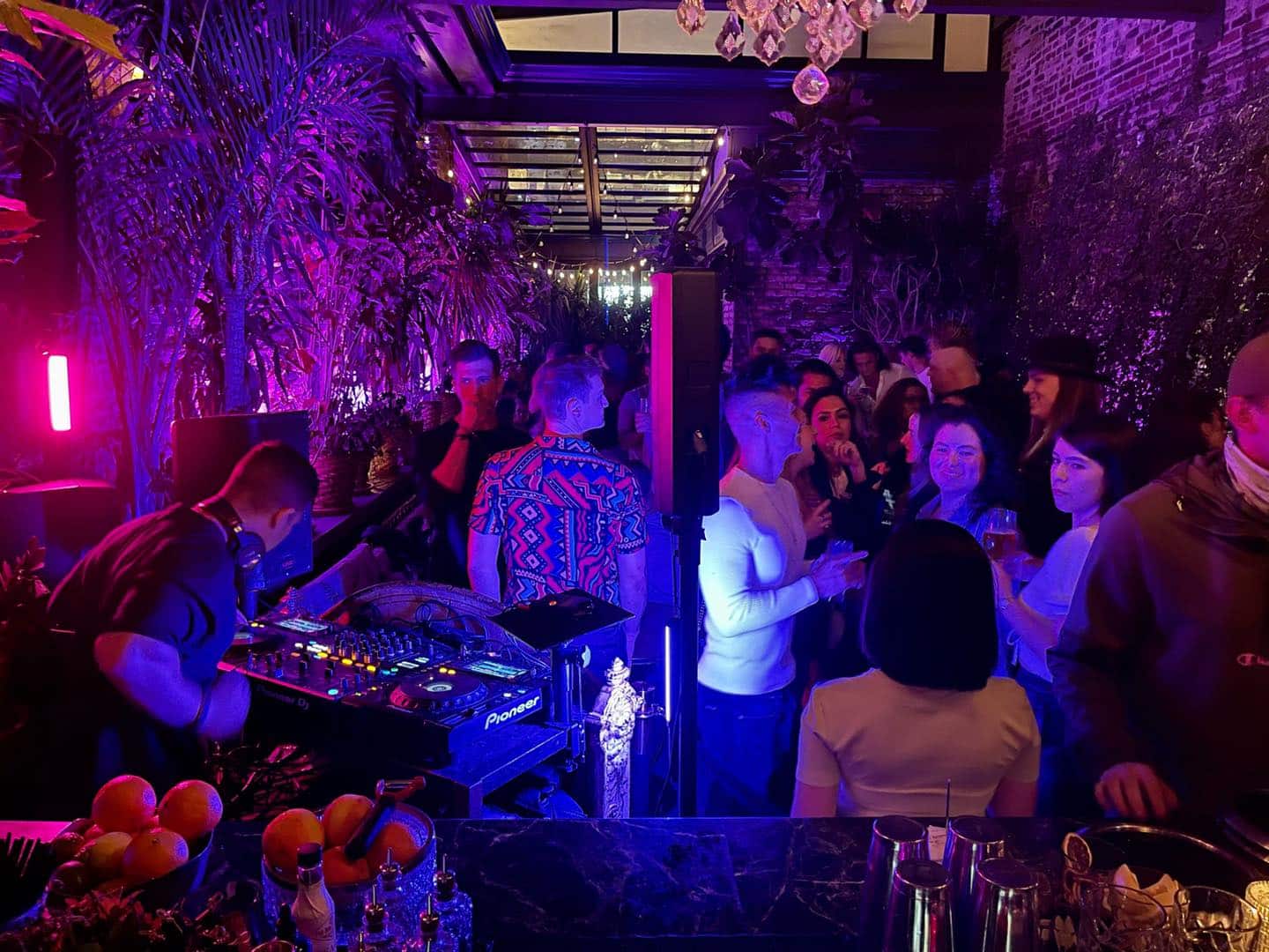 an airy rooftop with lush greenery of the side and a dj playing on the rooftop of celeste