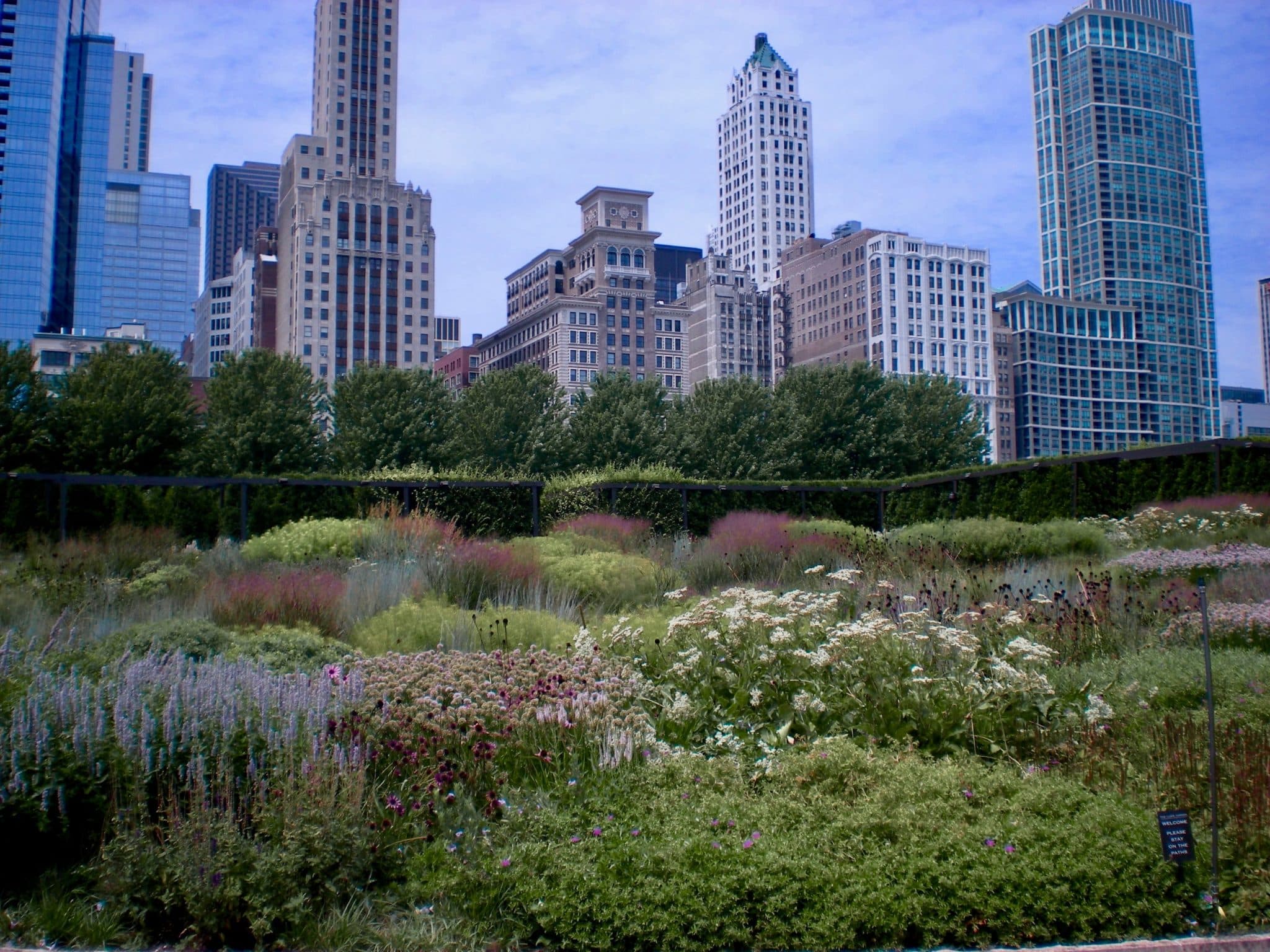 hundreds of flowers and shrubs at Lurie Garden in Millenium Park Chicago