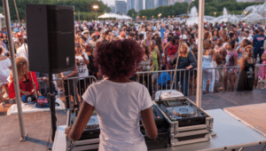 Image showing a DJ performing at Taste of Chicago in Grant Park, Chicago