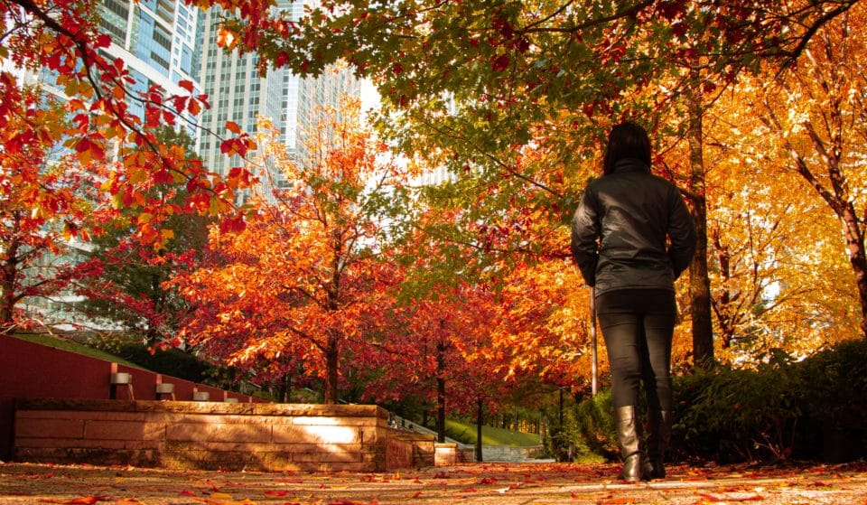 10 Best Chicago Fall Activities To Add To Your Autumn Bucket List