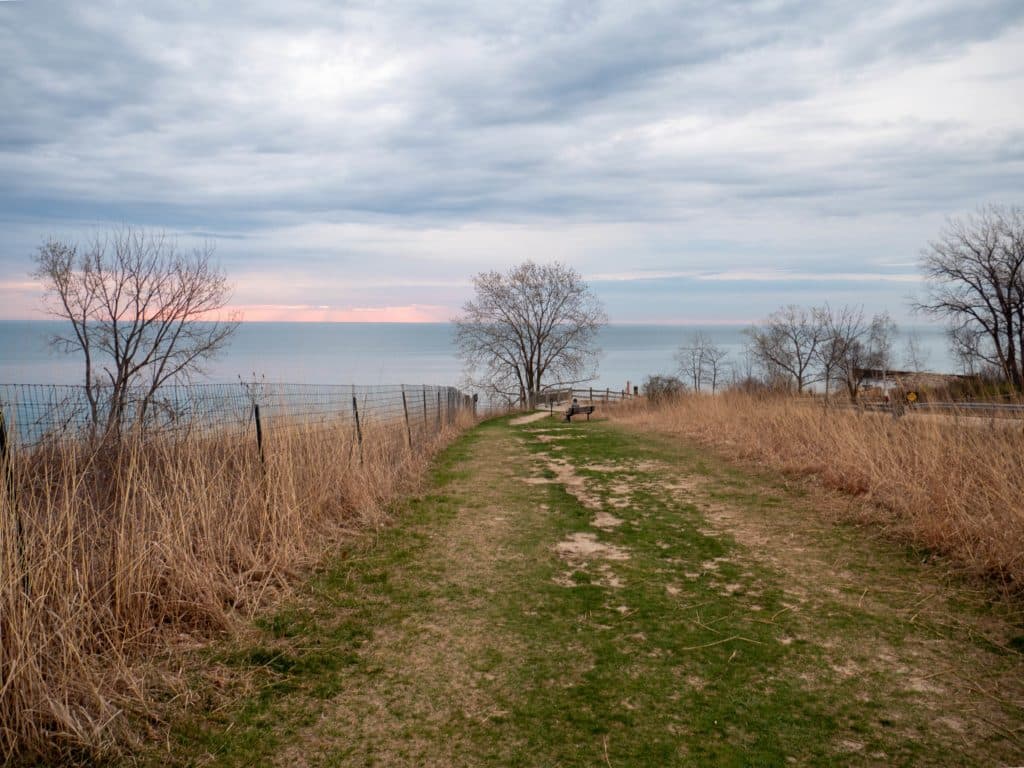 Lake michigan shoreline near Fort sheridan illinois with bare trees in the back and a sunset with pink skies