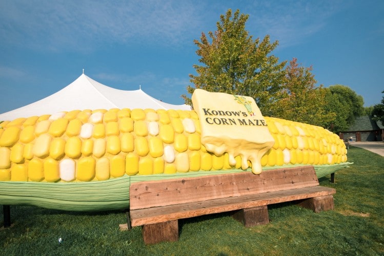 large plastic cob of corn i n front of a wooden bench at chicago konows cornmaze with trees in the background