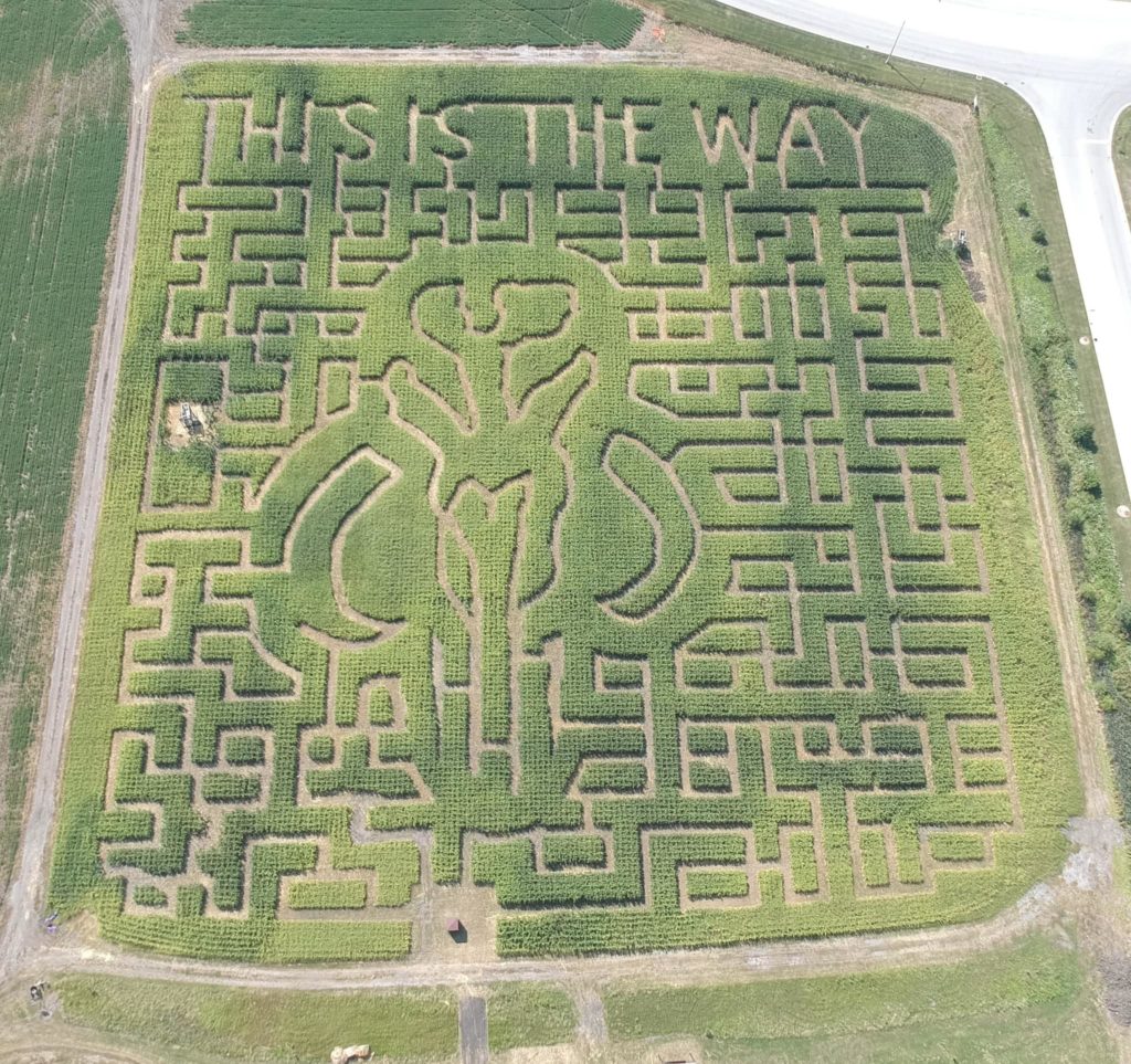 Mythosaur This Is The Way themed corn maze with an aerial view at odyssey fun farm