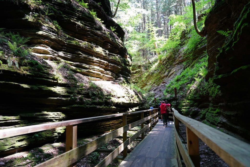 isitors of the Upper Dells boat tour walked on the wooden walk bridges looking at the scenery at Witches Gulch.