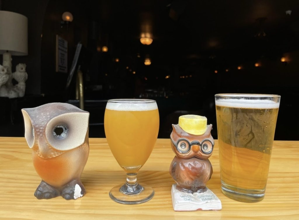 two beers next to two owls one with a large eyes and one with a yellow hat and glasses on a bar at the owl